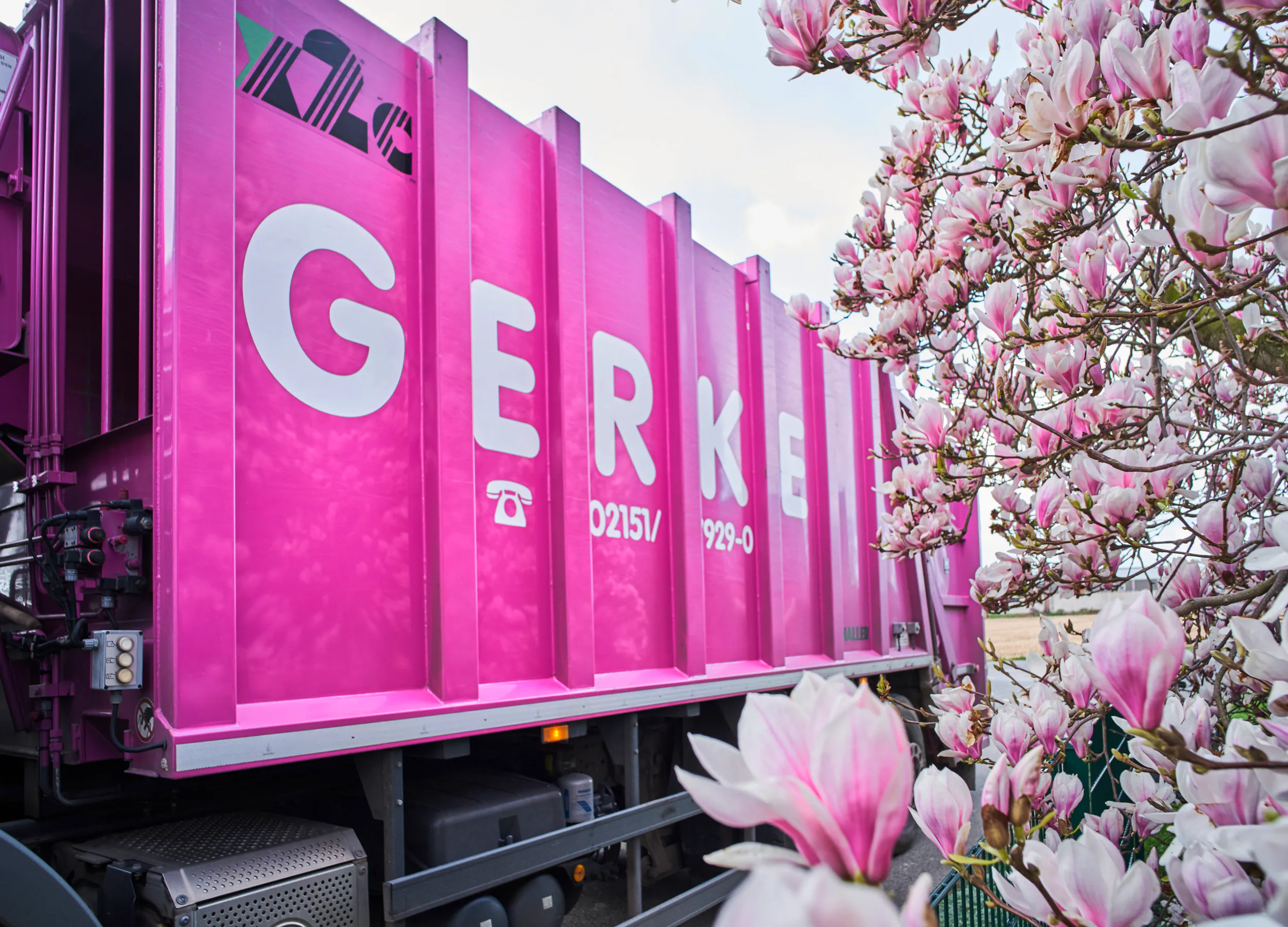 Gerke LKW neben einem Magnolienbaum
