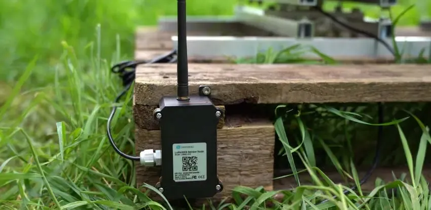 Bienen_LoRaWAN_Funkgerät