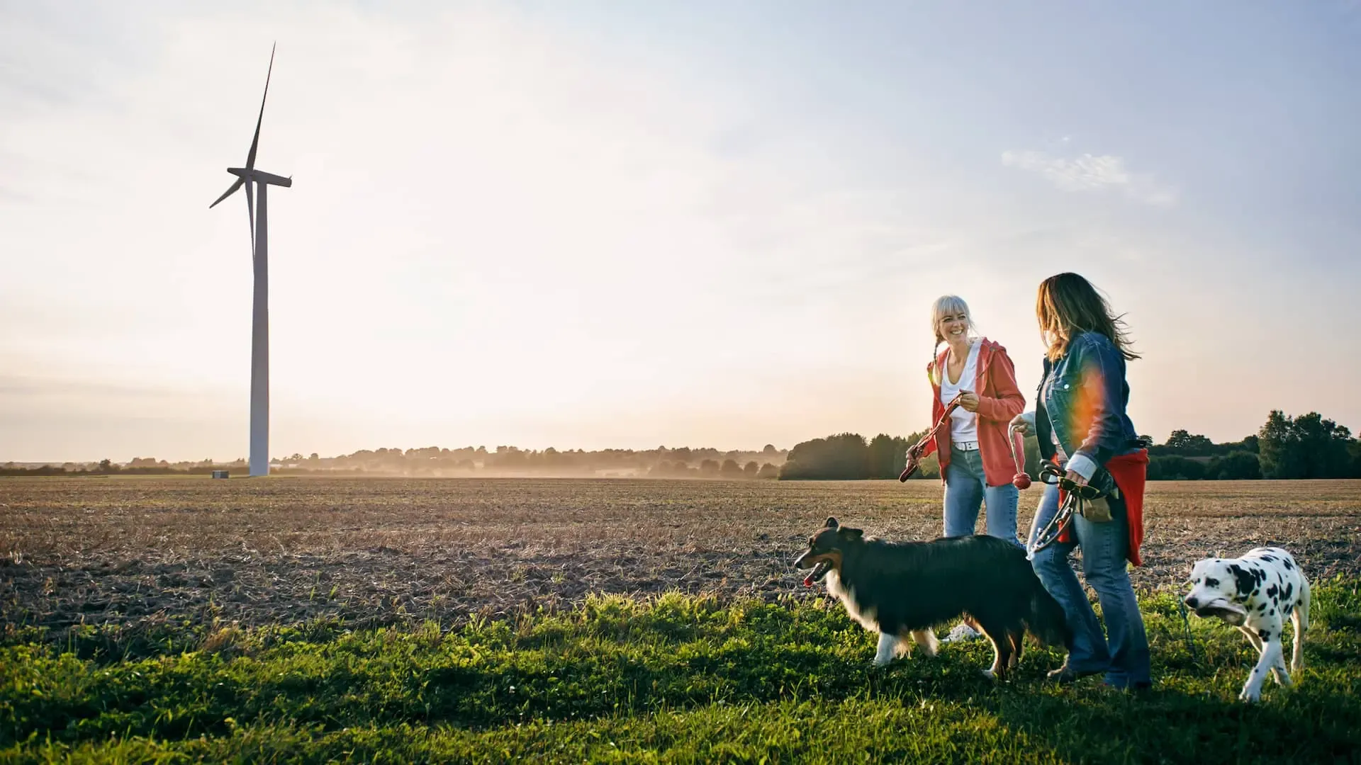 Mensch mit Hund auf einer Wiese unterwegs