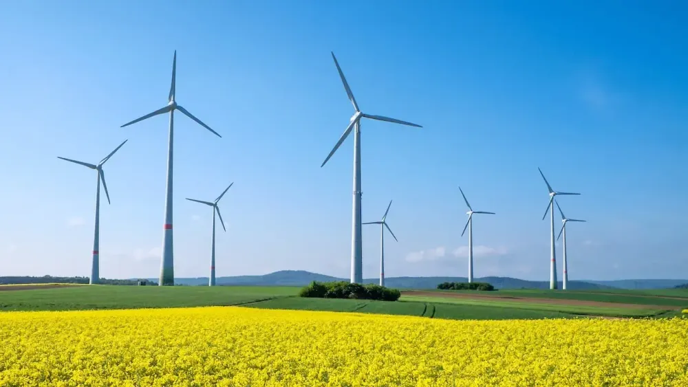 Windkrafträder auf einer grünen Wiese