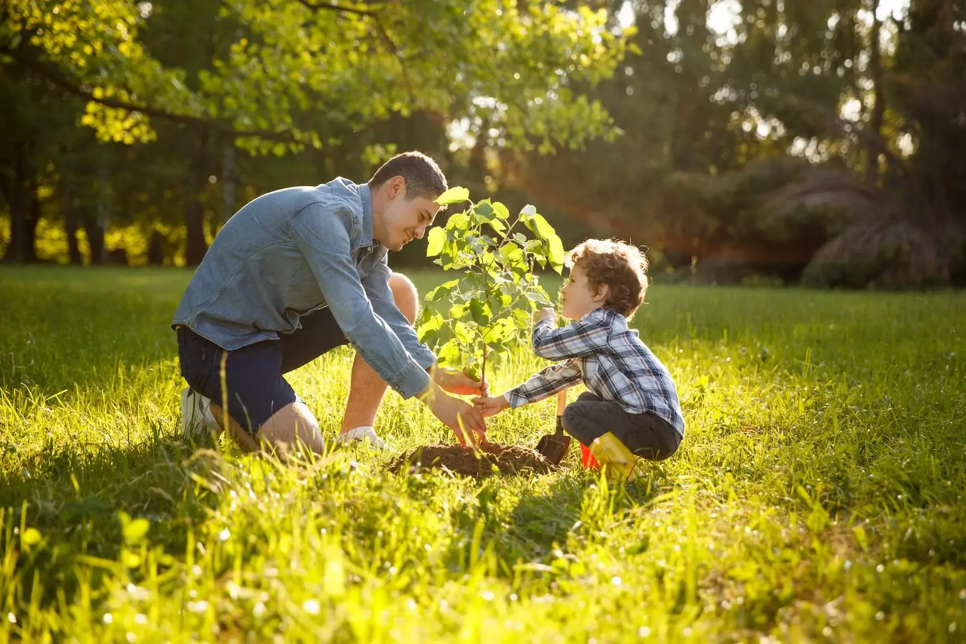 Vater und Sohn pflanzen einen Baum